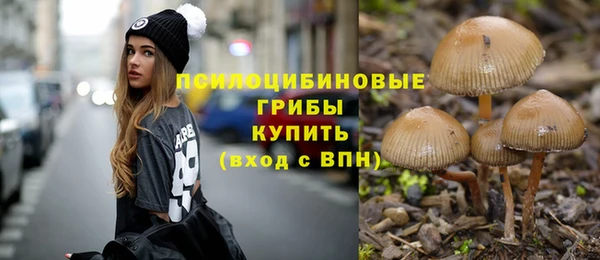 ПСИЛОЦИБИНОВЫЕ ГРИБЫ Алзамай