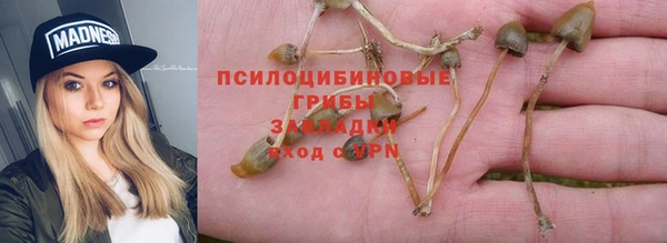 винт Алексин