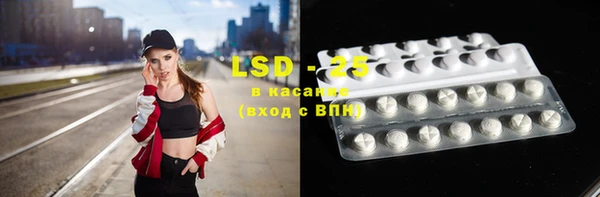 ПСИЛОЦИБИНОВЫЕ ГРИБЫ Алзамай