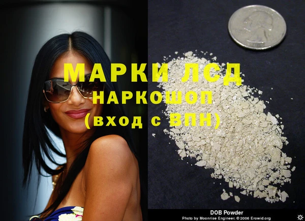 ПСИЛОЦИБИНОВЫЕ ГРИБЫ Алзамай