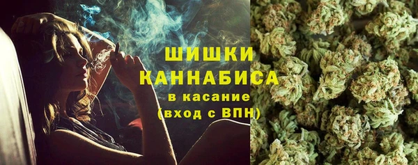 ПСИЛОЦИБИНОВЫЕ ГРИБЫ Алзамай