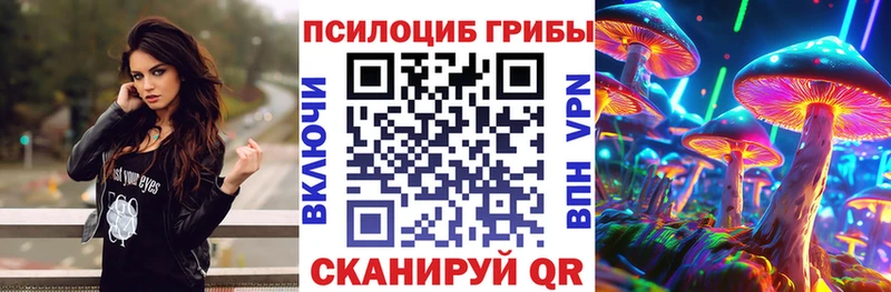 KRAKEN ТОР  Гуково  Галлюциногенные грибы Magic Shrooms 