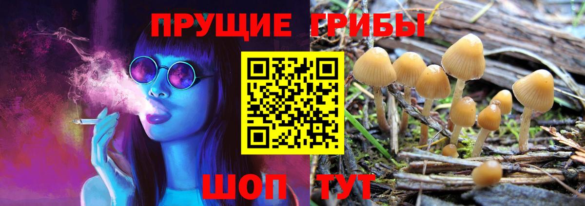 Псилоцибиновые грибы прущие грибы  Вход с VPN  Гуково 