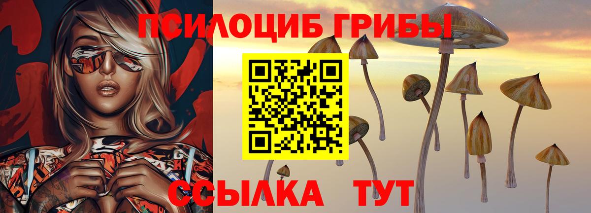Галлюциногенные грибы Psilocybine cubensis Гуково